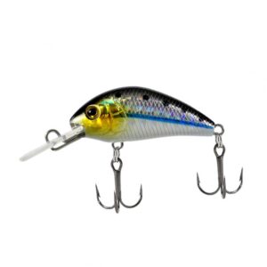 ATTACK STINGER 40 - Image 1