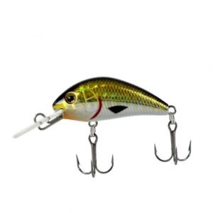 ATTACK STINGER 40 - Image 1